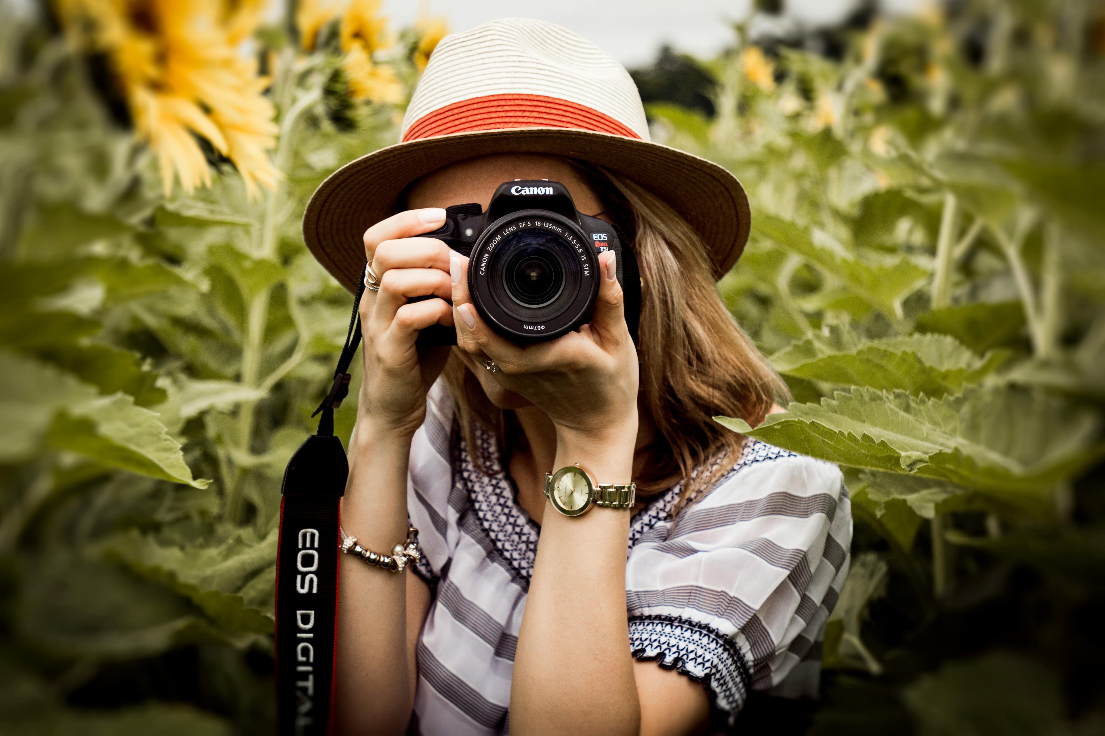 Portfolio de Charlotte